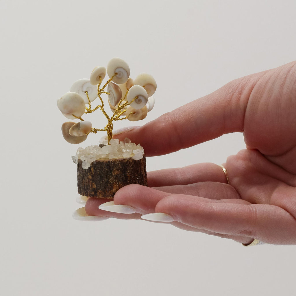 Small Gomati Chakra Circle Stone Tree with Rudraksha 15 Stones