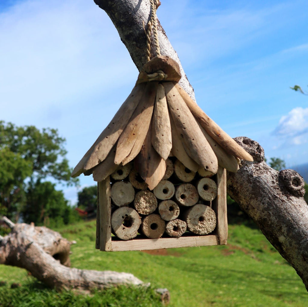 Driftwood Bee and Insect Box for a Lively and Vibrant Garden Habitat