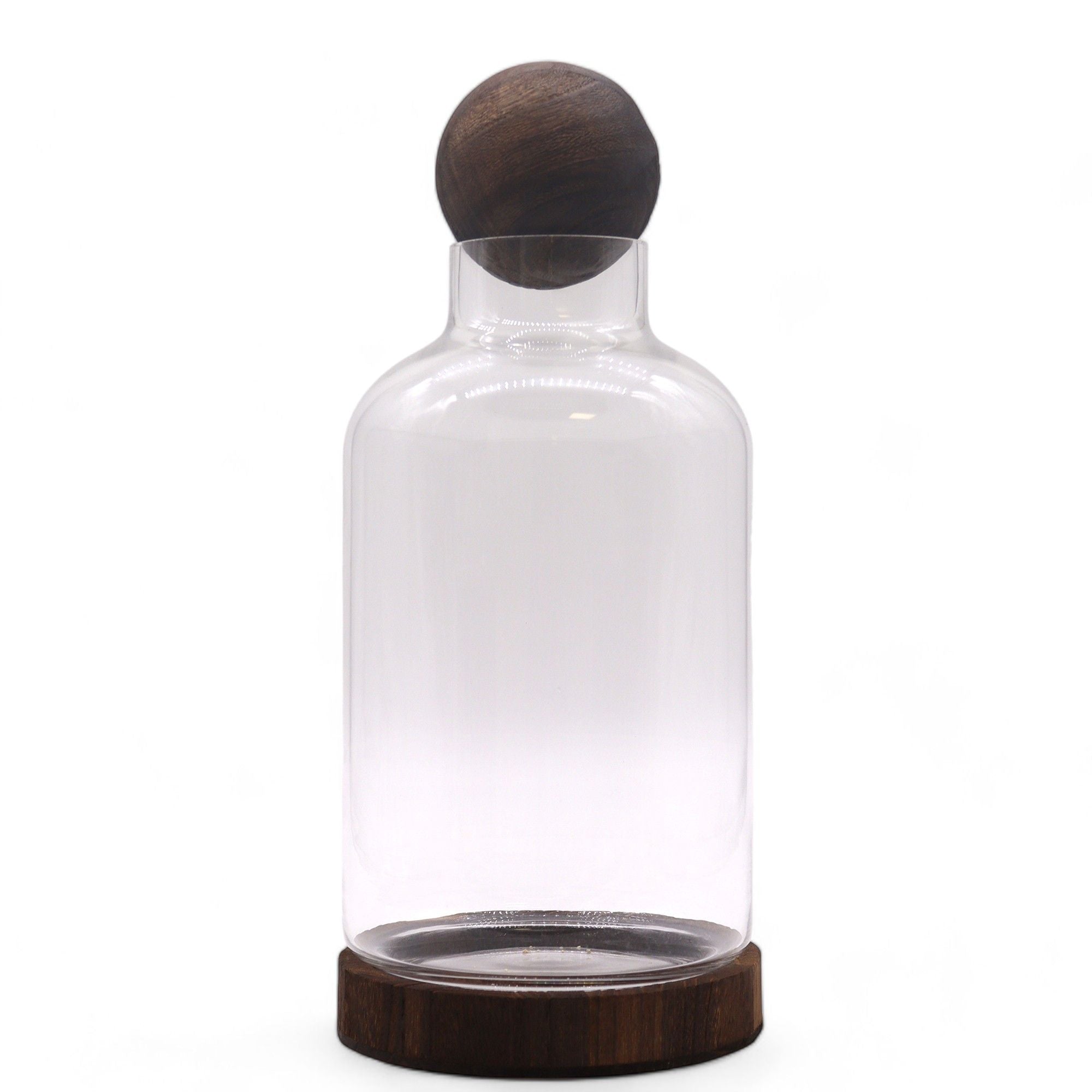 Large Ball Top Terrarium on Dark Tung Wood for Indoor Decor