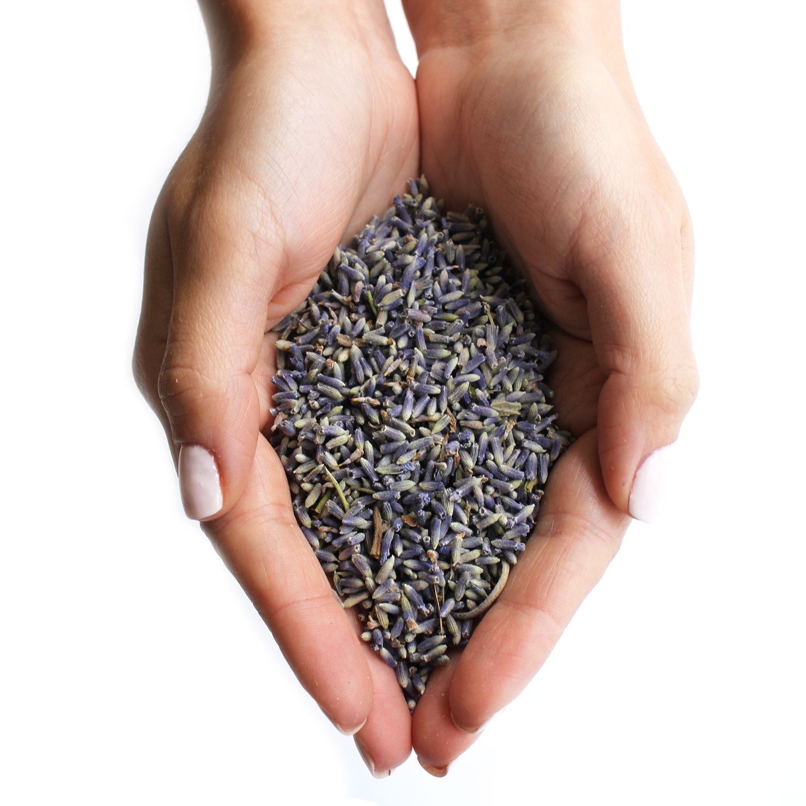 Lavender Flowers 1KG for Home Fragrance and Floral Decoration