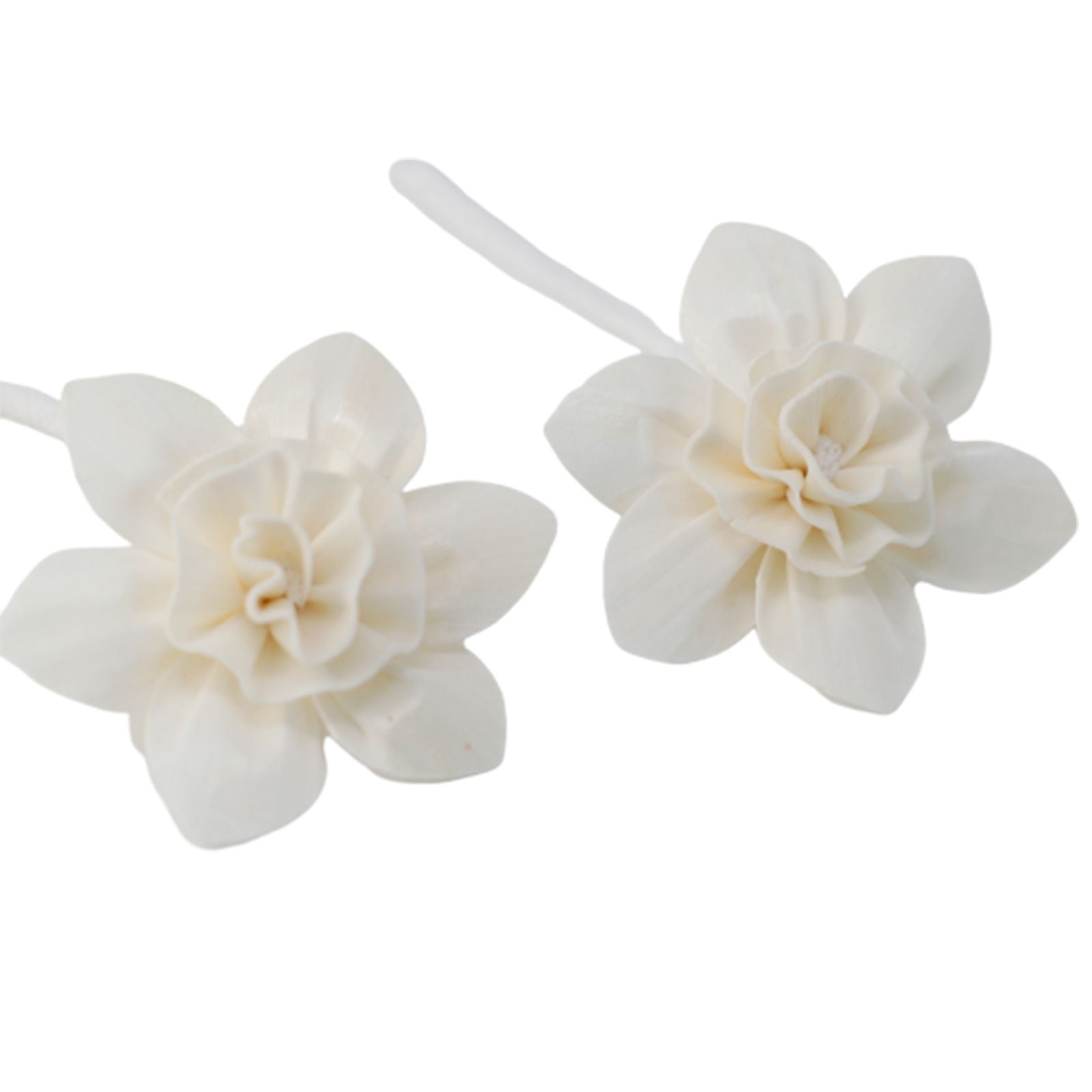 Natural Diffuser Flowers Large Lily on String for Home Decor