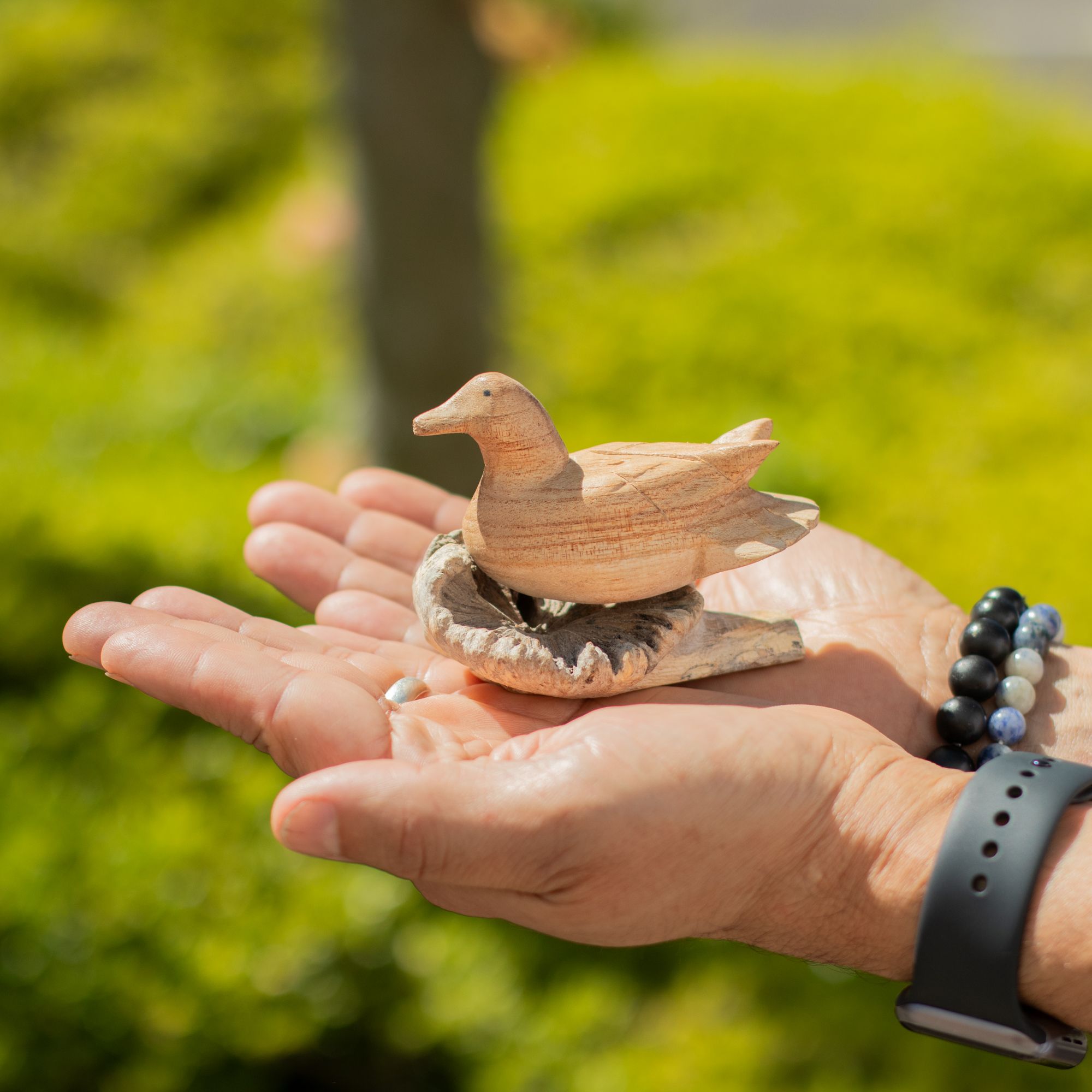 Handmade Parasite Wood Art Carving of Wild Duck Resting Piece
