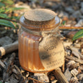 Spiced Orange Soy Pot of Fragrance Candles for Home Ambience