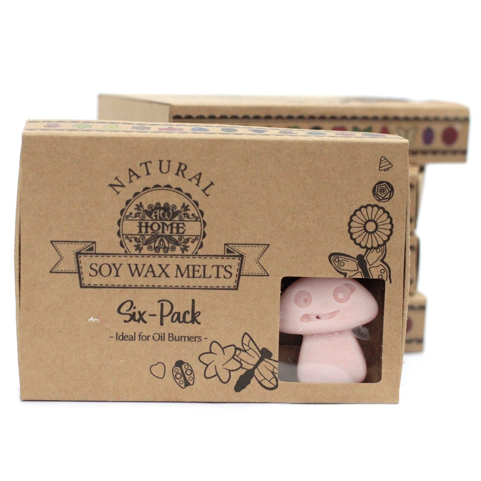Box of 6 Old Ginger Wax Melts for Inviting Home Fragrance