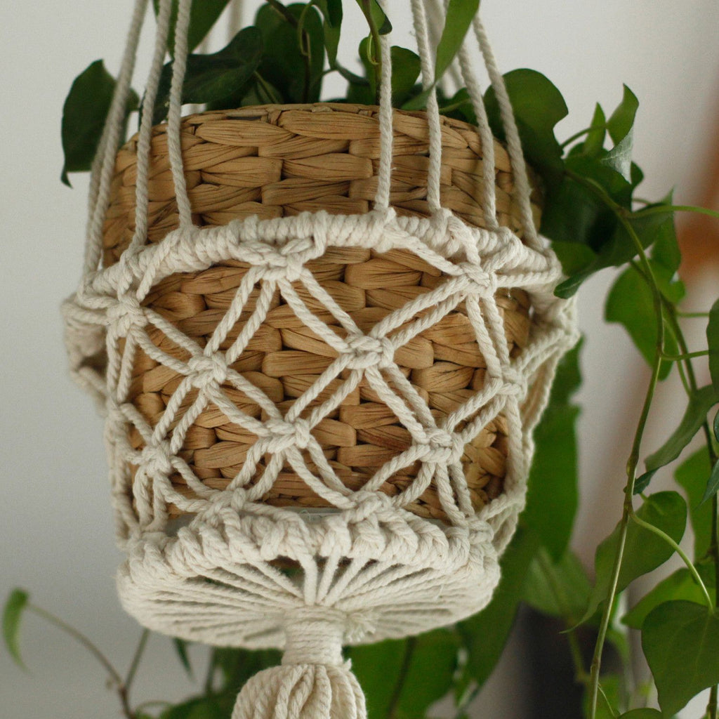 Stylish Macrame Pot Holder for Single Small Pot Home Decor Accent