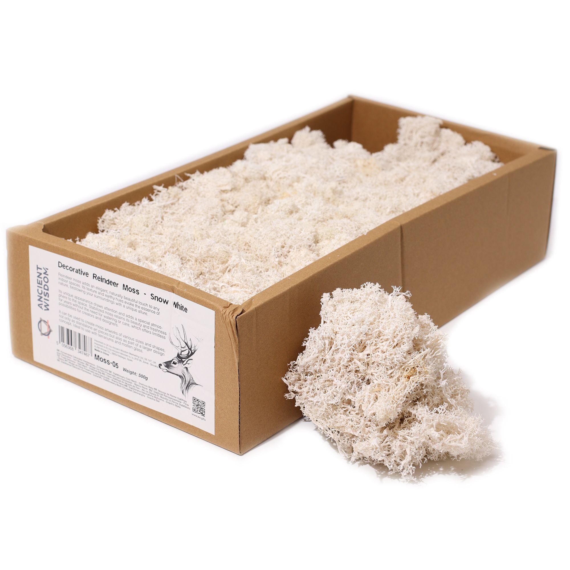 Snow White Decorative Reindeer Moss for Home Décor Projects
