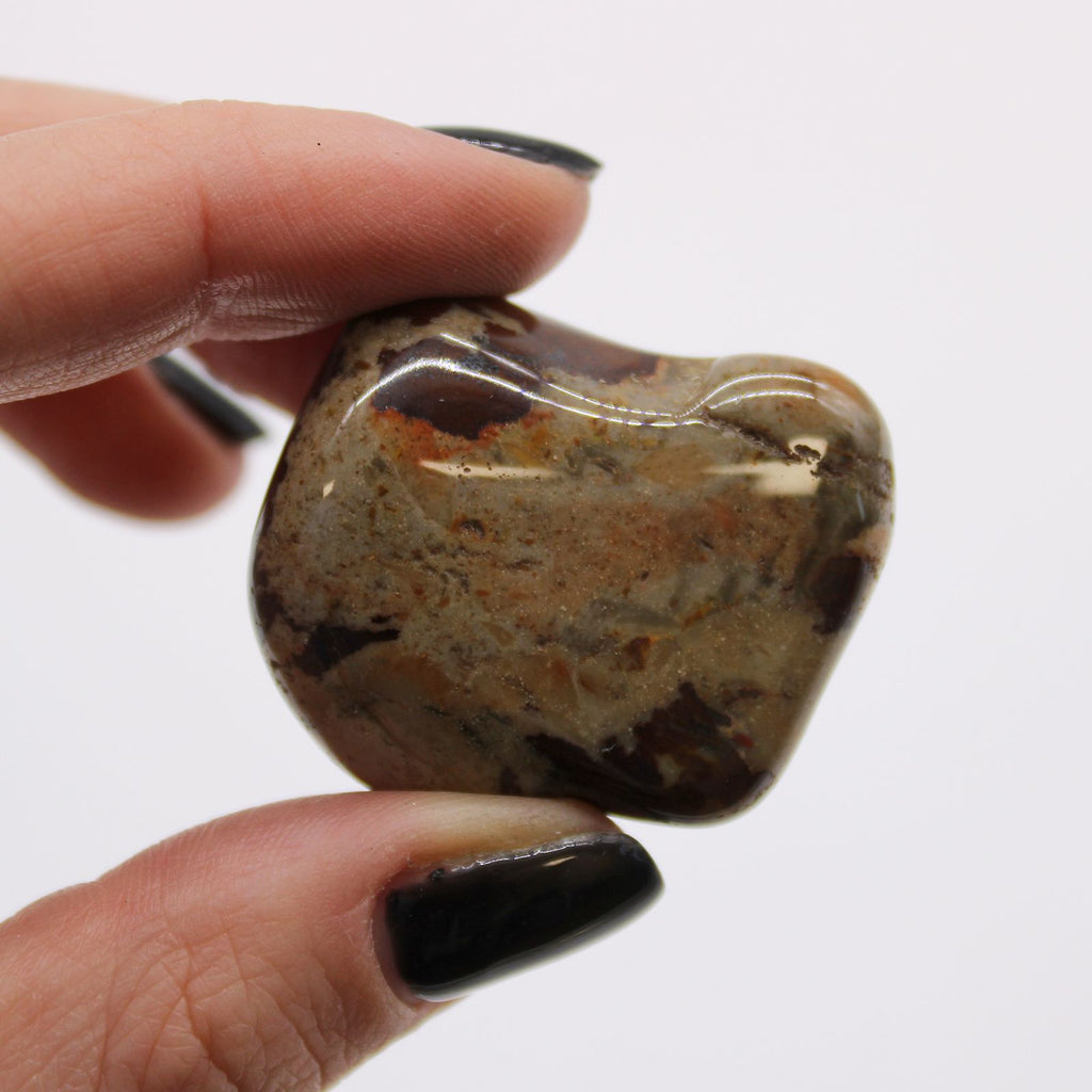 Large African Tumble Stones Jasper Nguni for Distinctive Home Decor