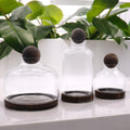 Medium Ball Top Terrarium on Dark Tung Wood Base for Indoor Decor