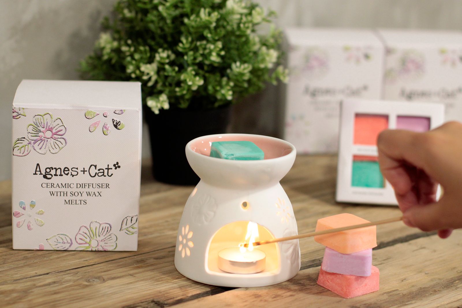 Agnes + Cat Wax Melter with Four Soy Wax Melts