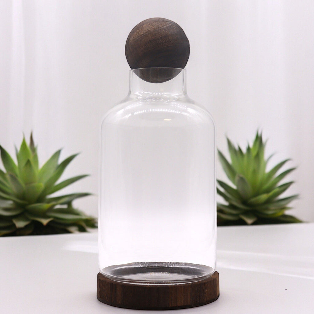 Large Ball Top Terrarium on Dark Tung Wood for Indoor Decor