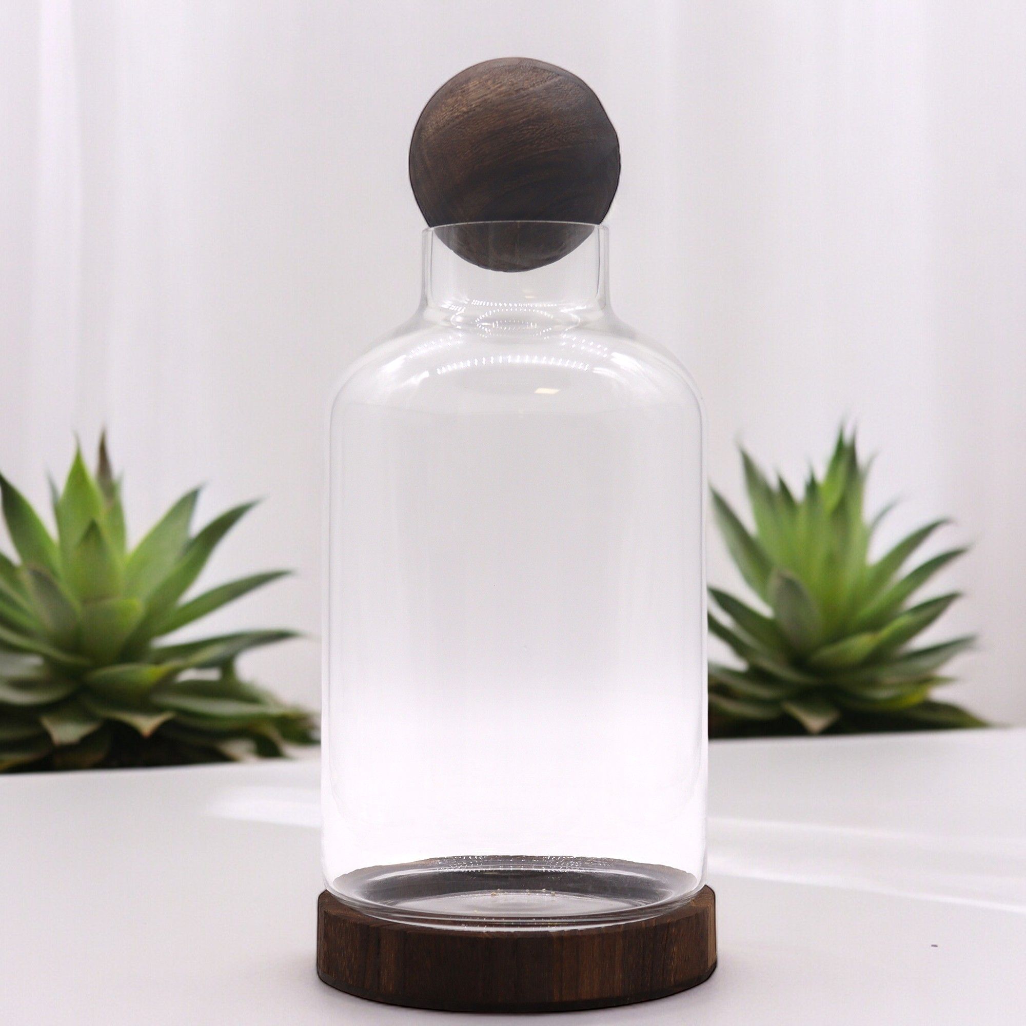 Large Ball Top Terrarium on Dark Tung Wood for Indoor Decor