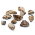 Large Tumble Stones Kalahari Desert Stone for Collectors and Crafts