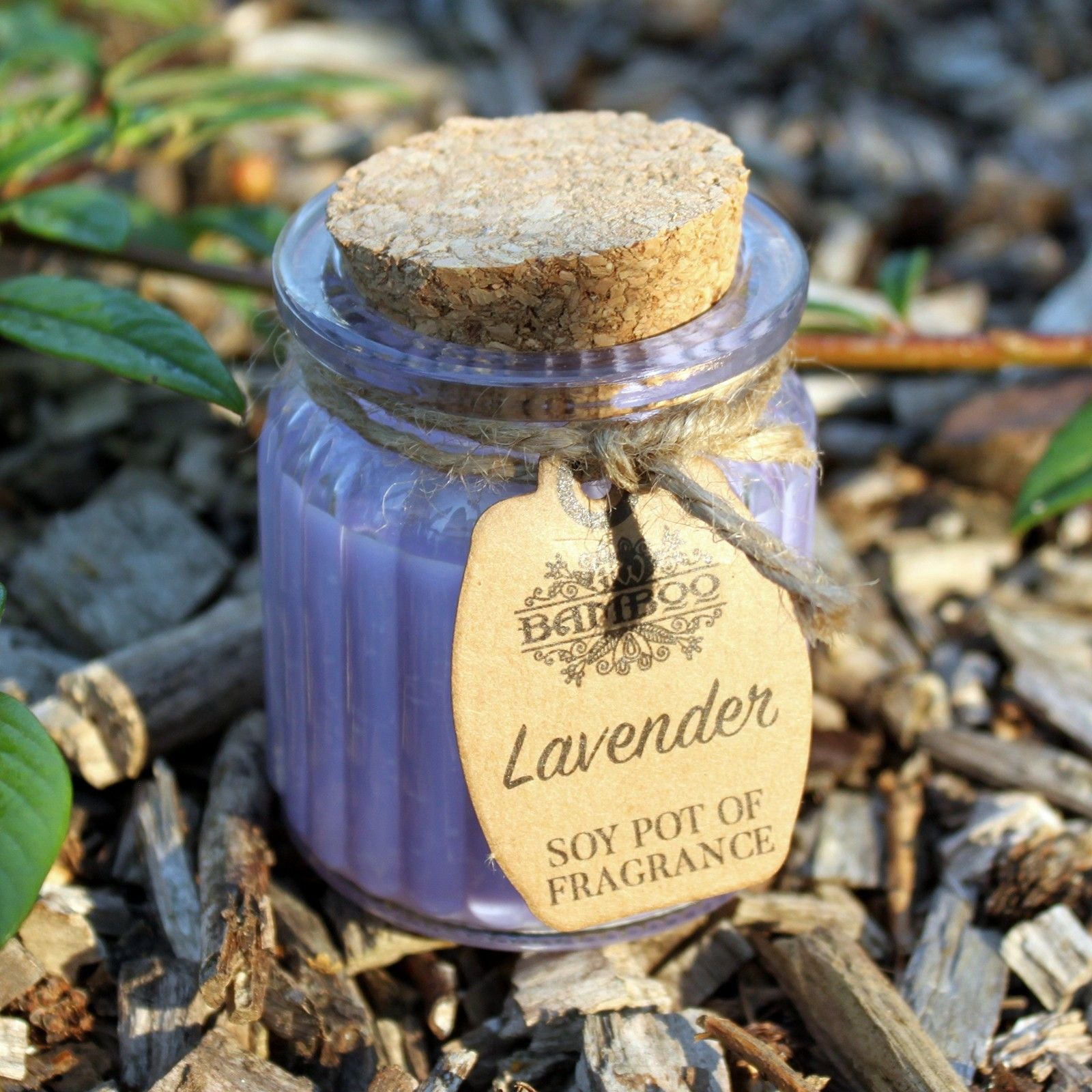 Lavender Soy Pot of Fragrance Candles for Home Decor and Gifting