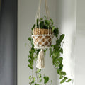 Stylish Macrame Pot Holder for Single Small Pot Home Decor Accent