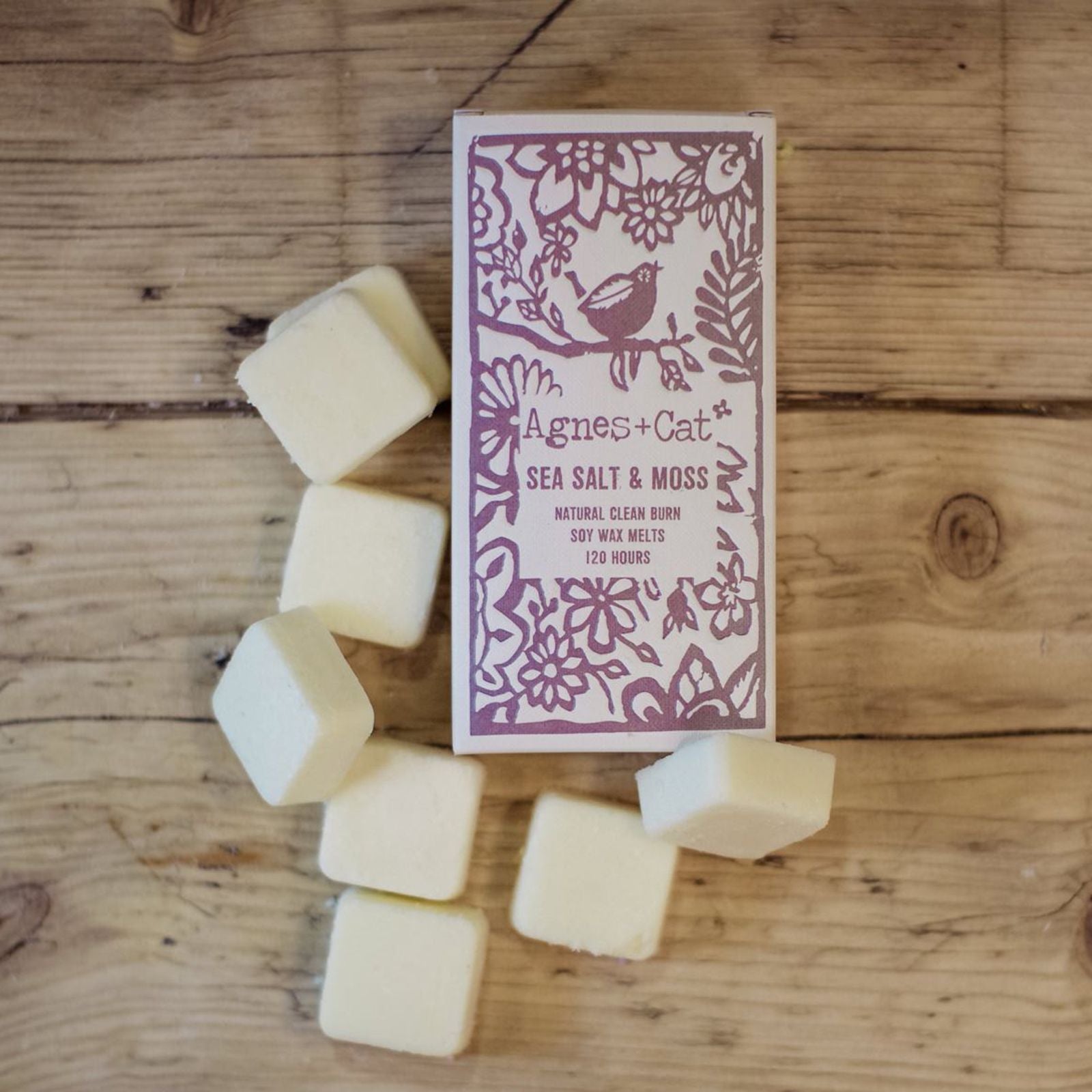 Agnes + Cat Box of 8 Wax Melts - Sea Salt & Moss