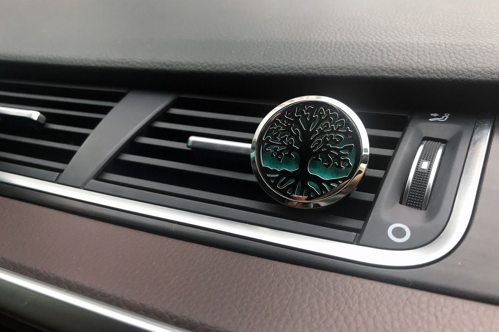 Car Diffuser Kit Dragonfly Aromatherapy Enhancer for Your Vehicle