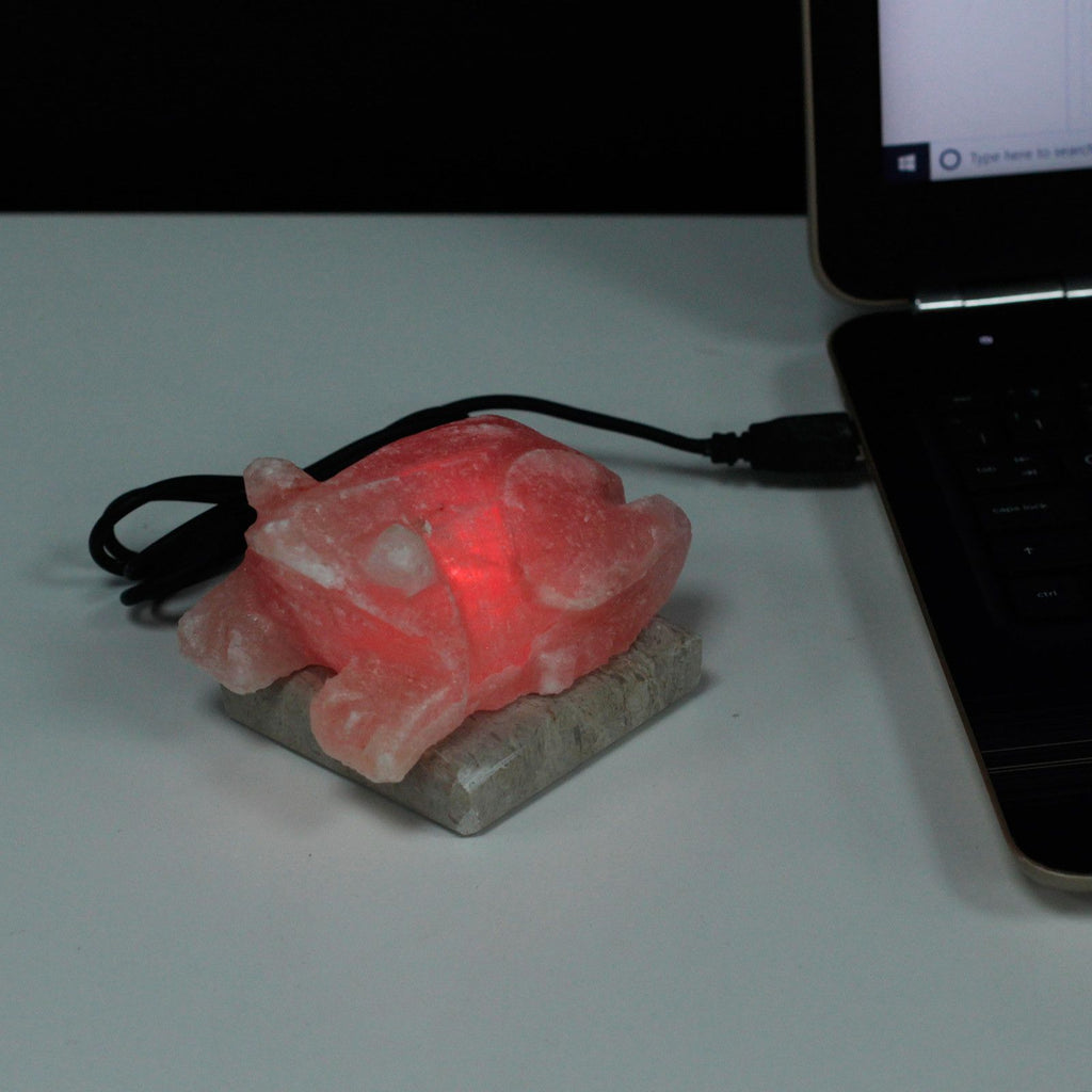 USB Toad Shaped Himalayan Salt Lamp for Unique Home Decor Lighting
