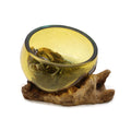 Molton Glass Mini Amber Bowl on Wood for Home Decor Display