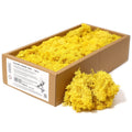 Vibrant Yellow Decoration Reindeer Moss for Crafts and Décor Use