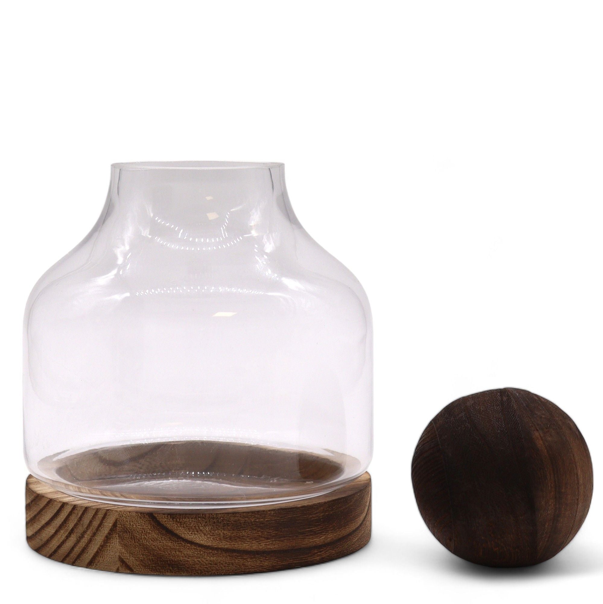 Medium Ball Top Terrarium on Dark Tung Wood Base for Indoor Decor