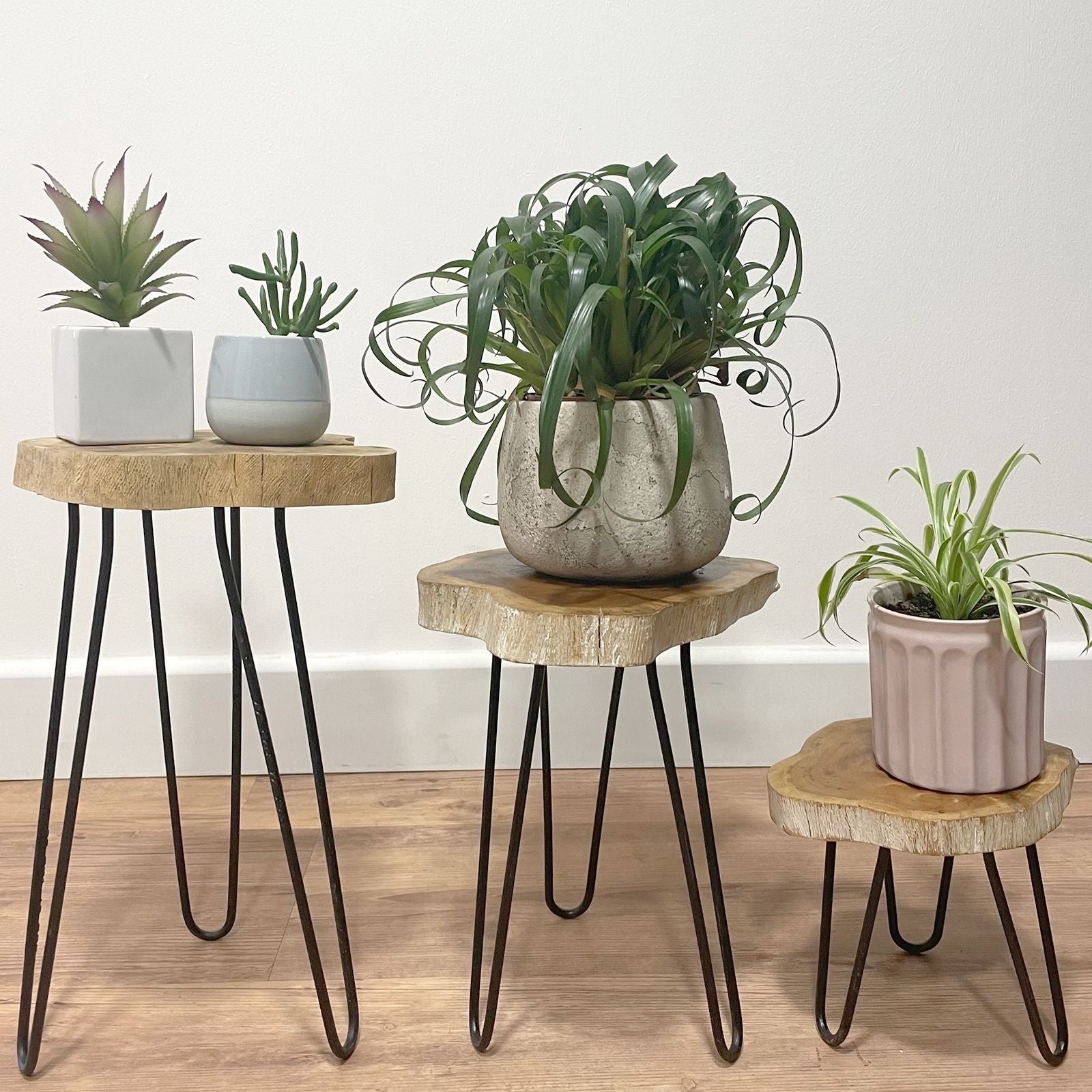Set of 3 Whitewash Gamal Wood Plant Stands with Hairpin Legs