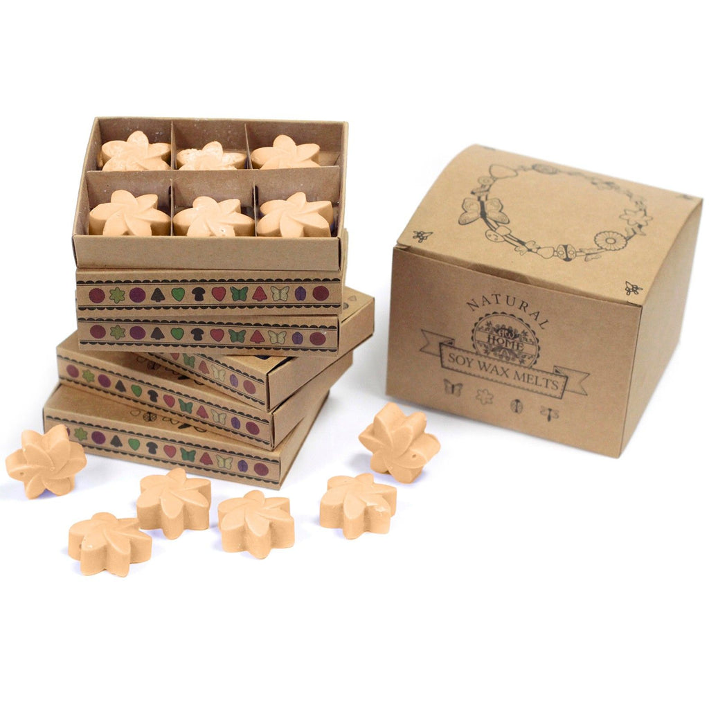Midnight Jasmine Wax Melts Box of 6 for Inviting Home Fragrance