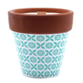 Agnes + Cat Herb Garden Candles Rosemary for Fresh Home Fragrance