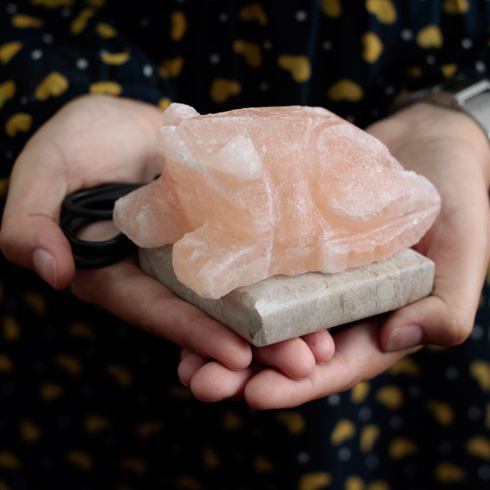USB Toad Shaped Himalayan Salt Lamp for Unique Home Decor Lighting