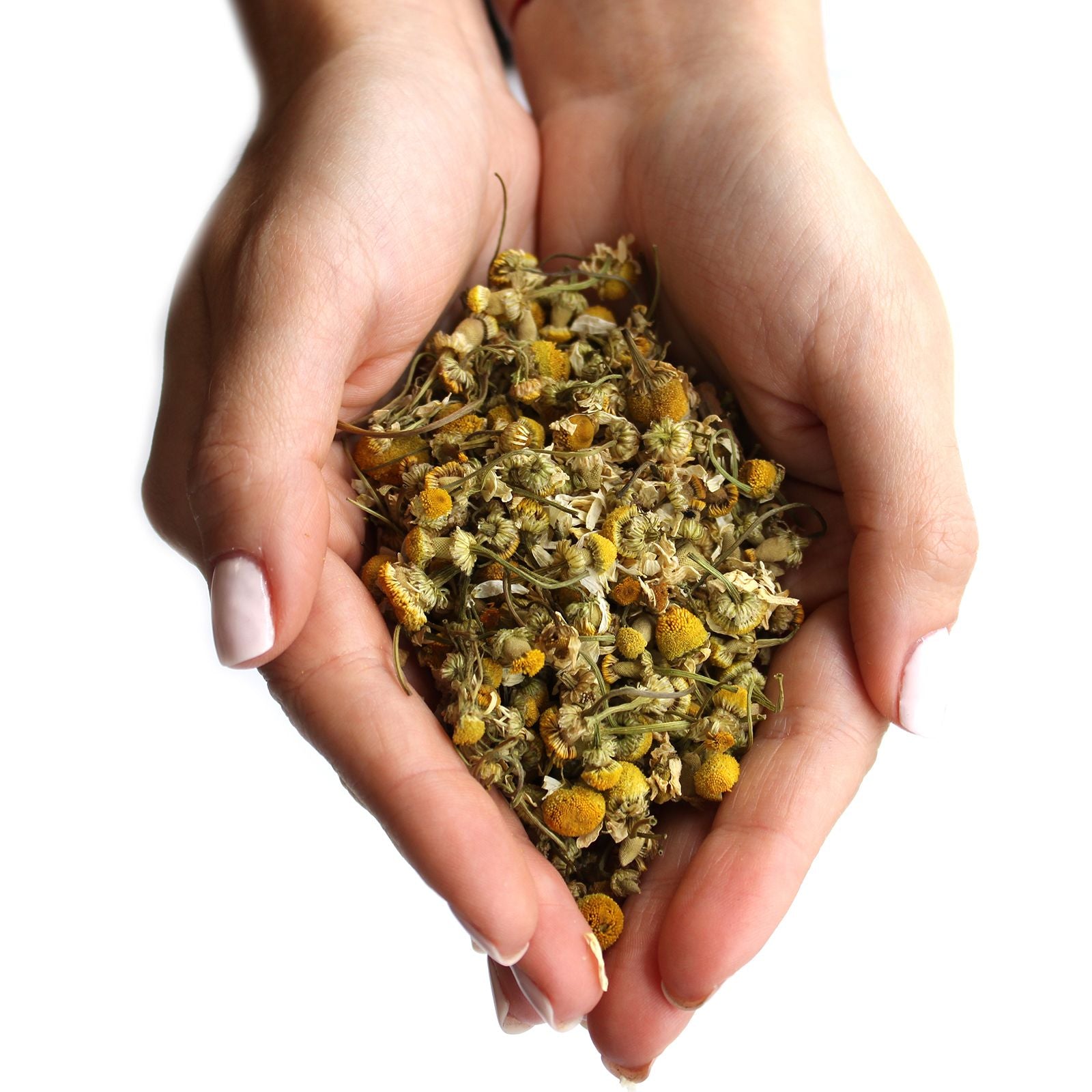 Chamomile Heads 1kg for Potpourri and Decorative Arrangements