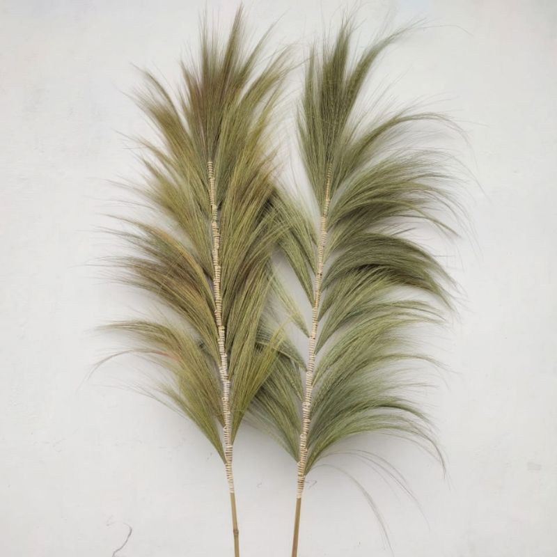 Rayung Grass Natural 2m Versatile Decorative Grass for Home Use