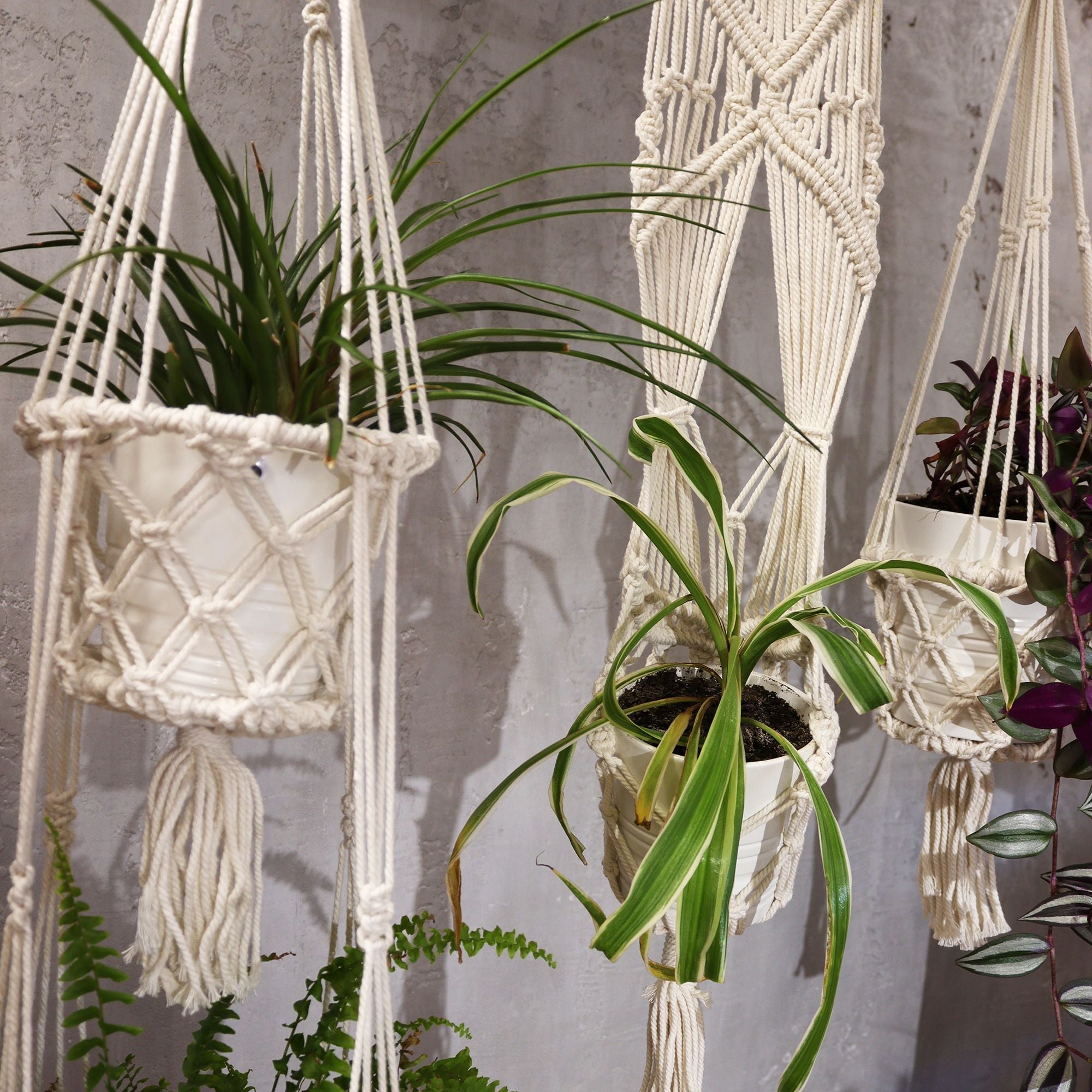 Macrame Pot Holder Double Holder for Stylish Home Plant Décor