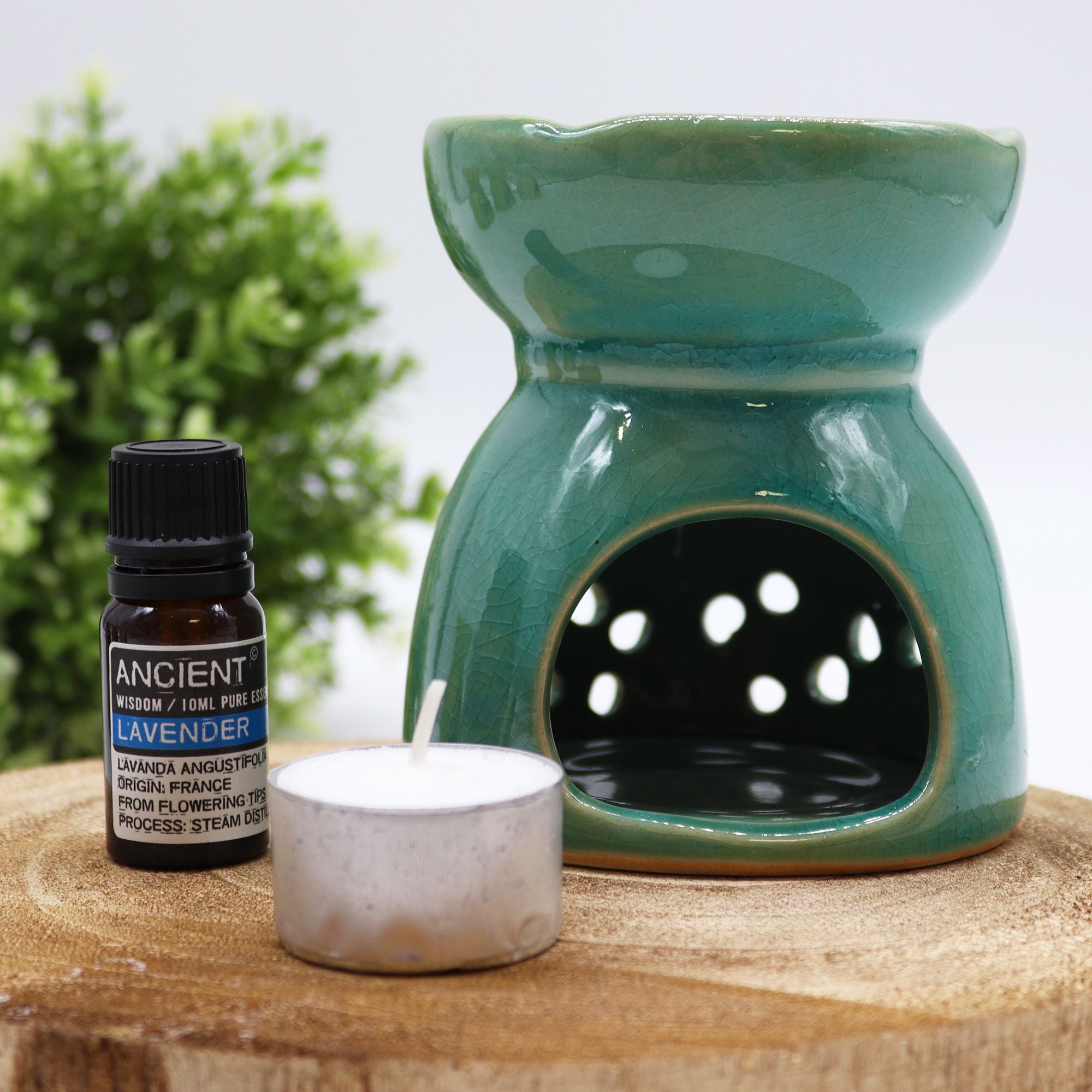 Blue Tree of Life Oil Burner for Fragrance and Home Decor