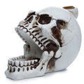 Skull with Open Mouth Backflow Incense Burner for Unique Decor