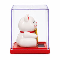 Mini Solar Powered Japanese Lucky Cat in Display Box – White