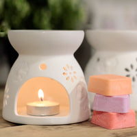Agnes + Cat Wax Melter with Four Soy Wax Melts