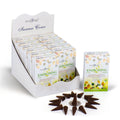 Energising Cones for a Refreshing Aromatic Experience at Home