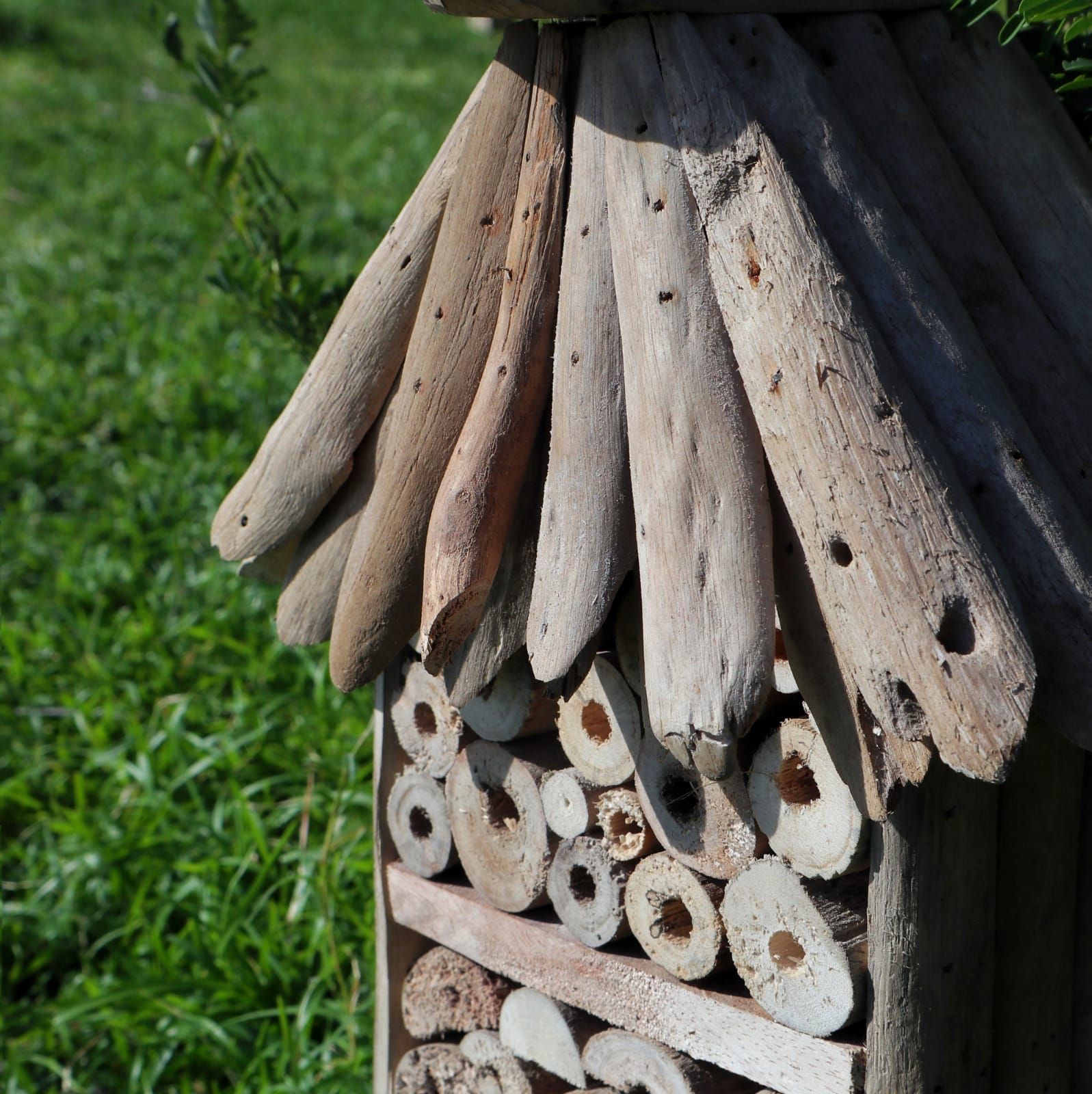 Driftwood Bee and Insect Highrise Box for Beautiful Garden Decor