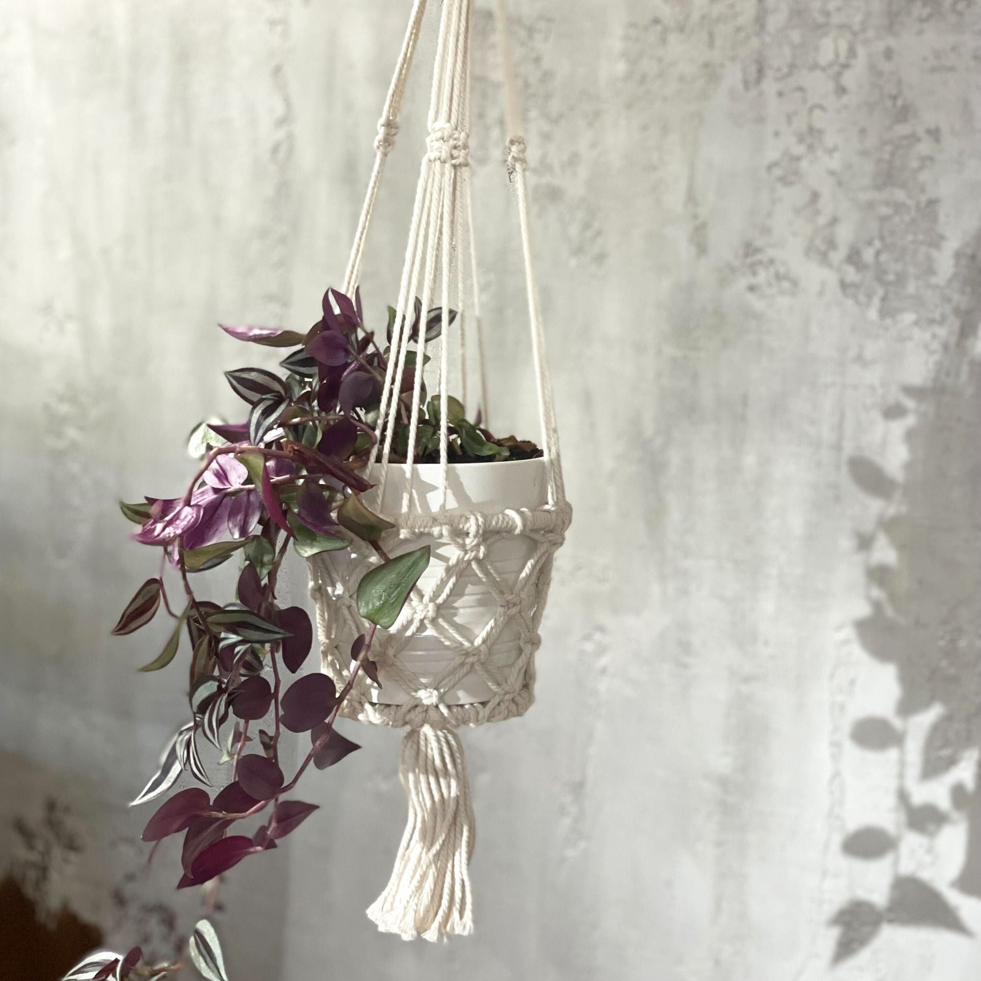 Stylish Macrame Pot Holder for Single Small Pot Home Decor Accent