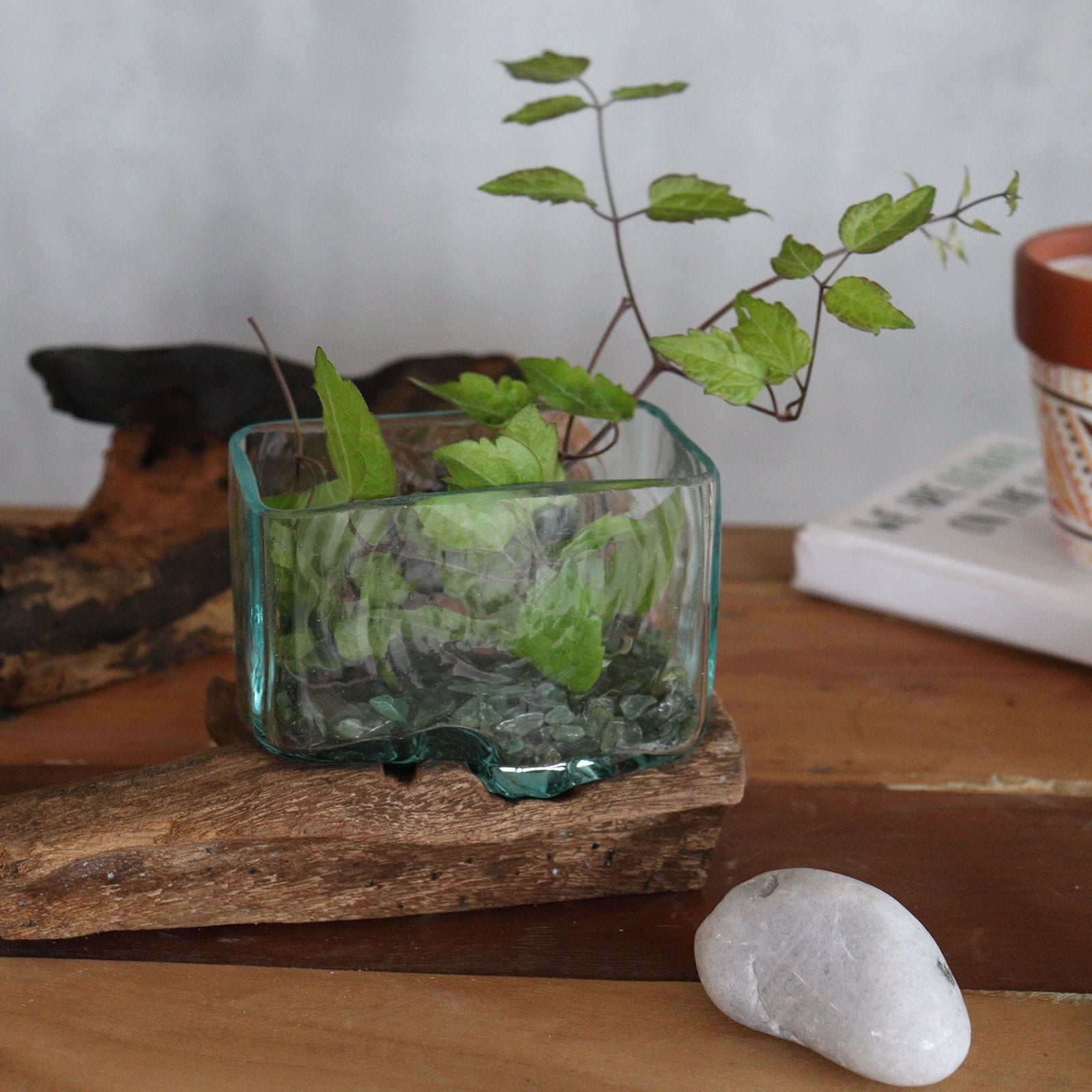 Molten Glass Tank on Wood with Stand Small Bowl for Display