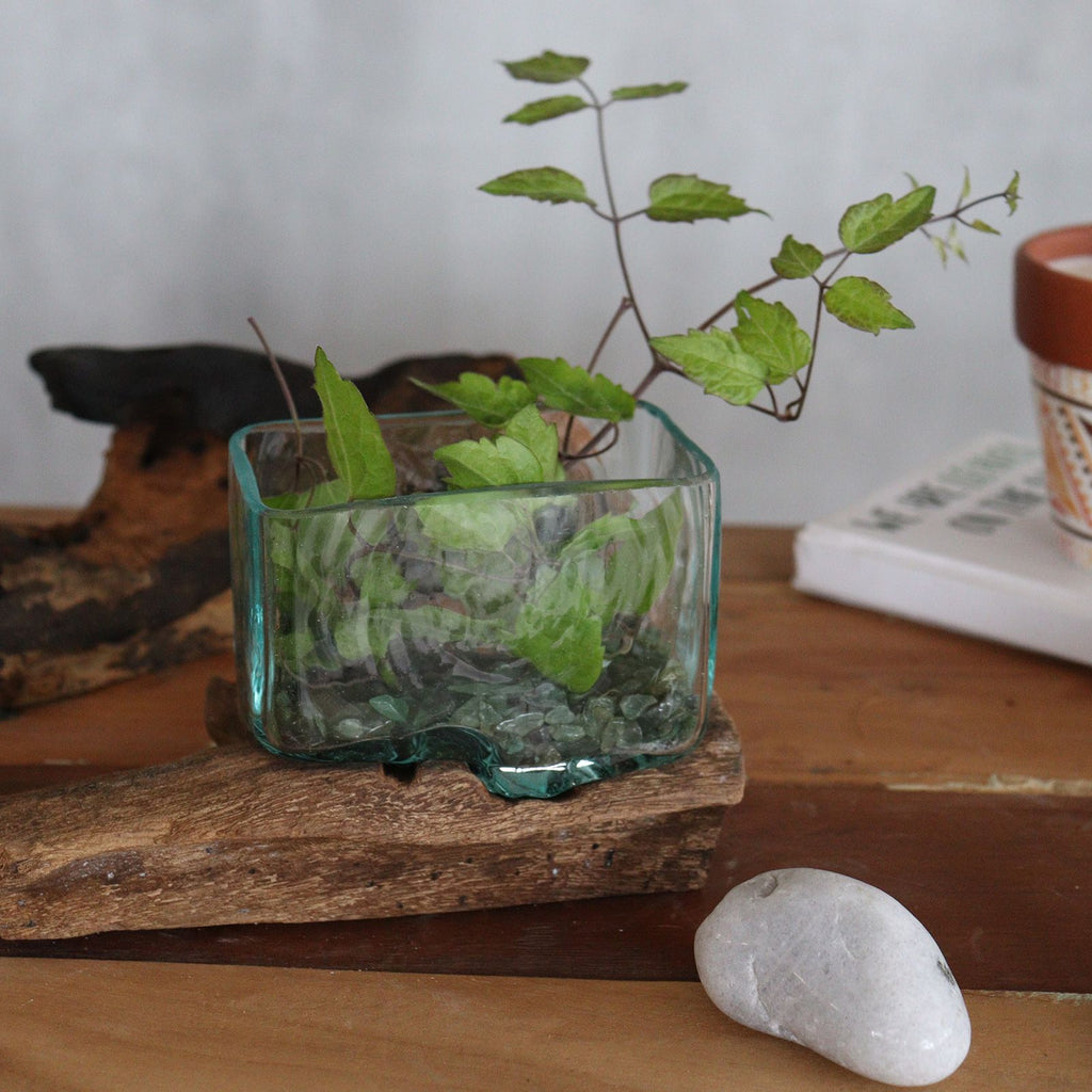 Molten Glass Tank on Wood with Stand Medium Bowl for Display