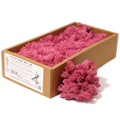 Pink Decorative Reindeer Moss for Floral Arrangements and Crafts