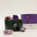 Hop Hare The Moon Diffusing Crystals and Floral Set for Decor