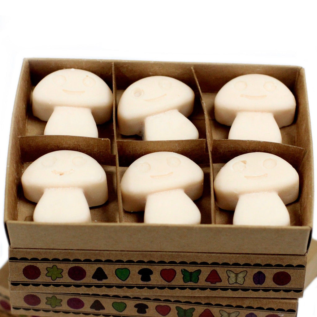 Box of 6 Vanilla Nutmeg Wax Melts for Home Fragrance Delight
