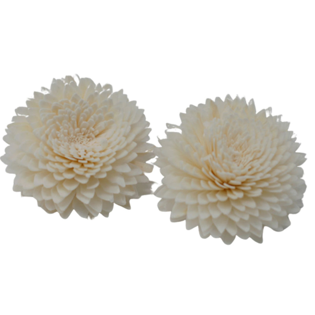Natural Diffuser Flowers Large Carnation on String for Home Fragrance