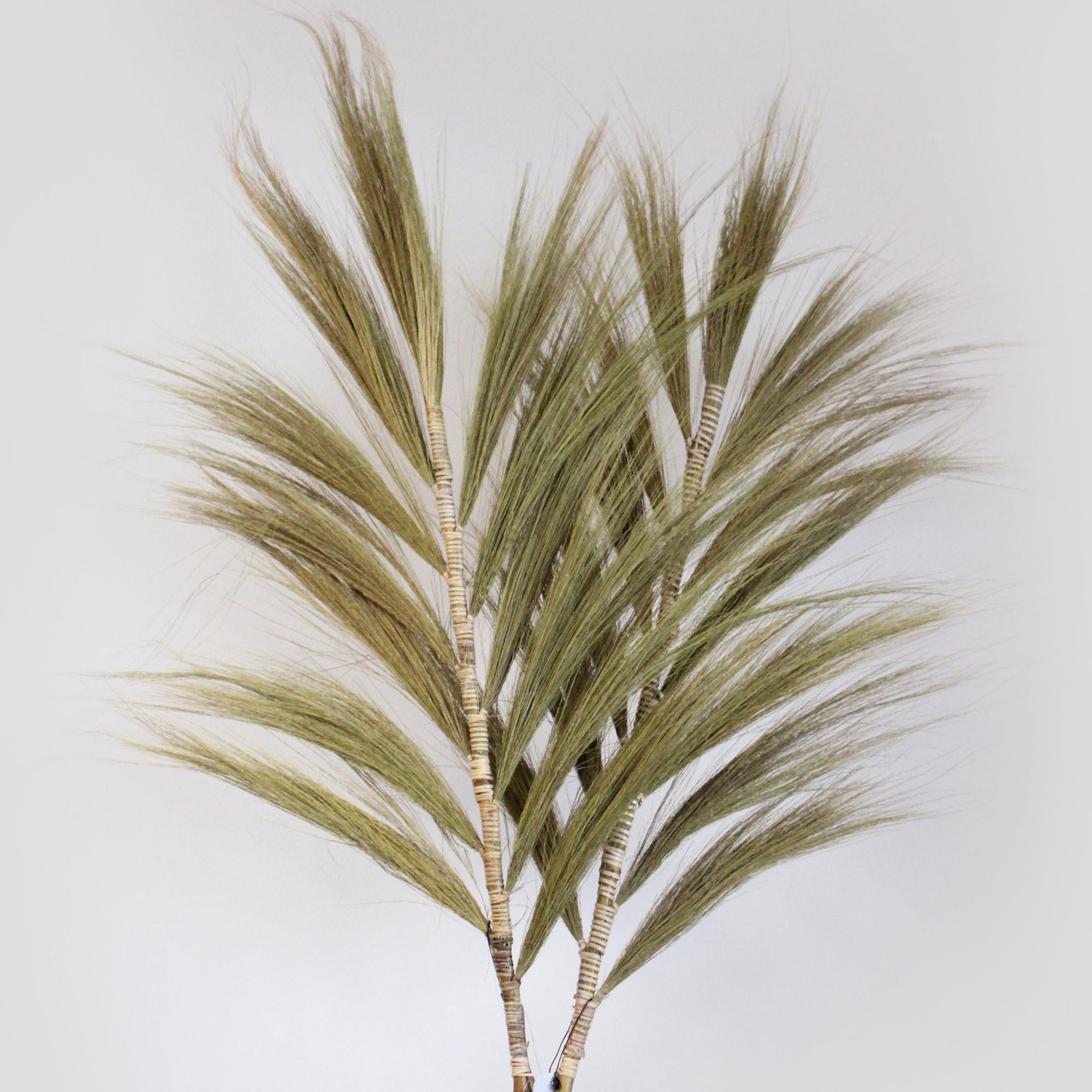 Rayung Grass Natural 2m Versatile Decorative Grass for Home Use