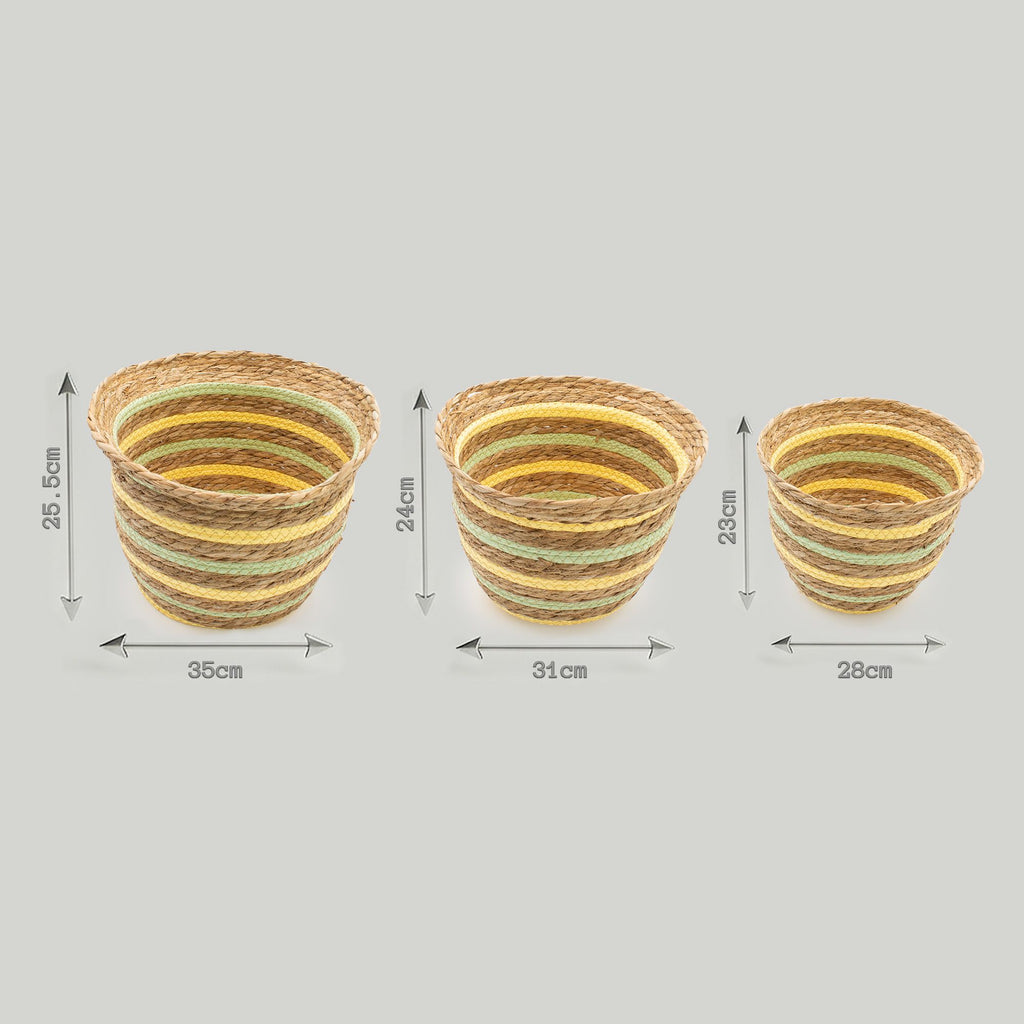 Seagrass & Straw Vase Shaped Baskets Set of 3 in Yellow & Green