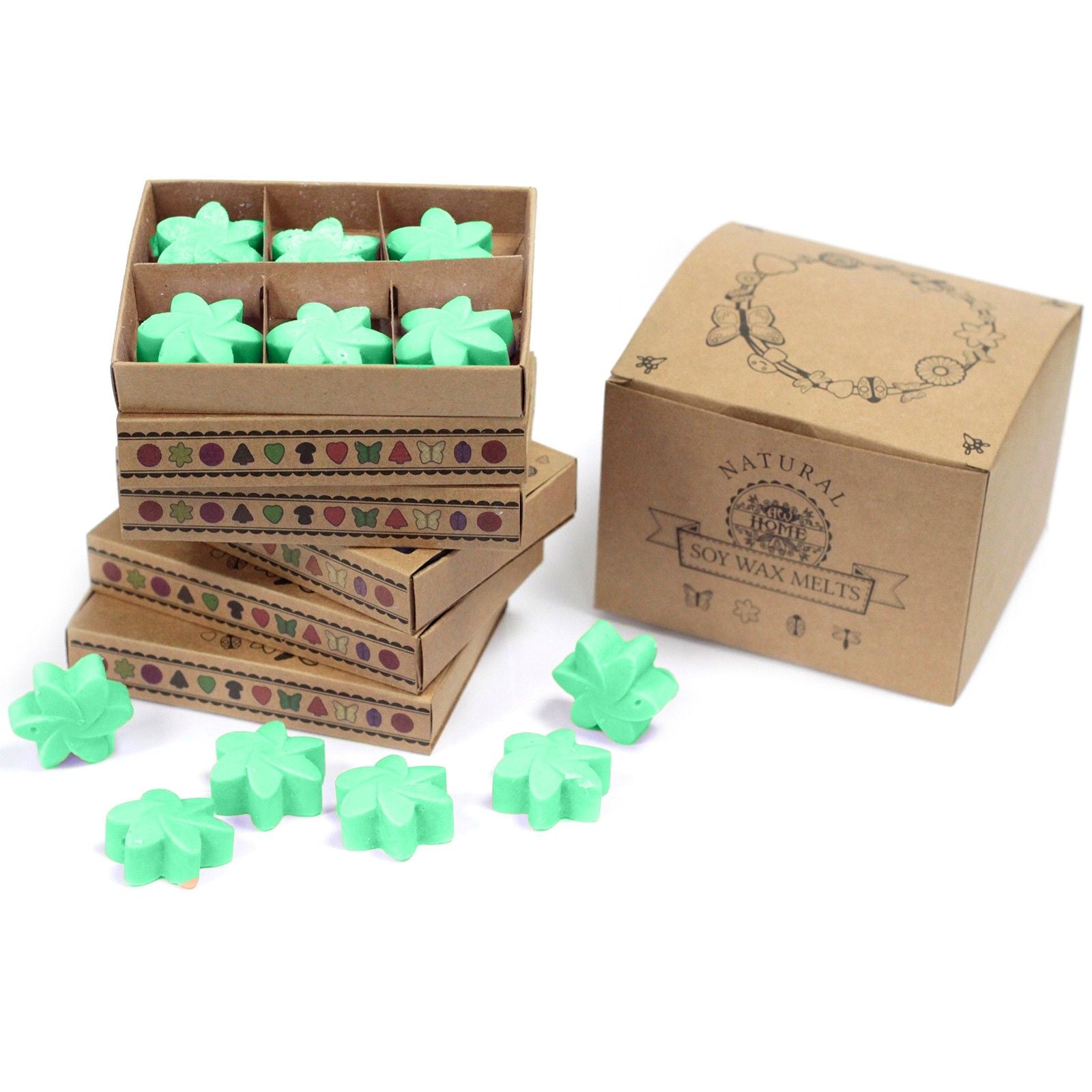 Box of 6 Hidden Garden Wax Melts for Enchanting Home Fragrance