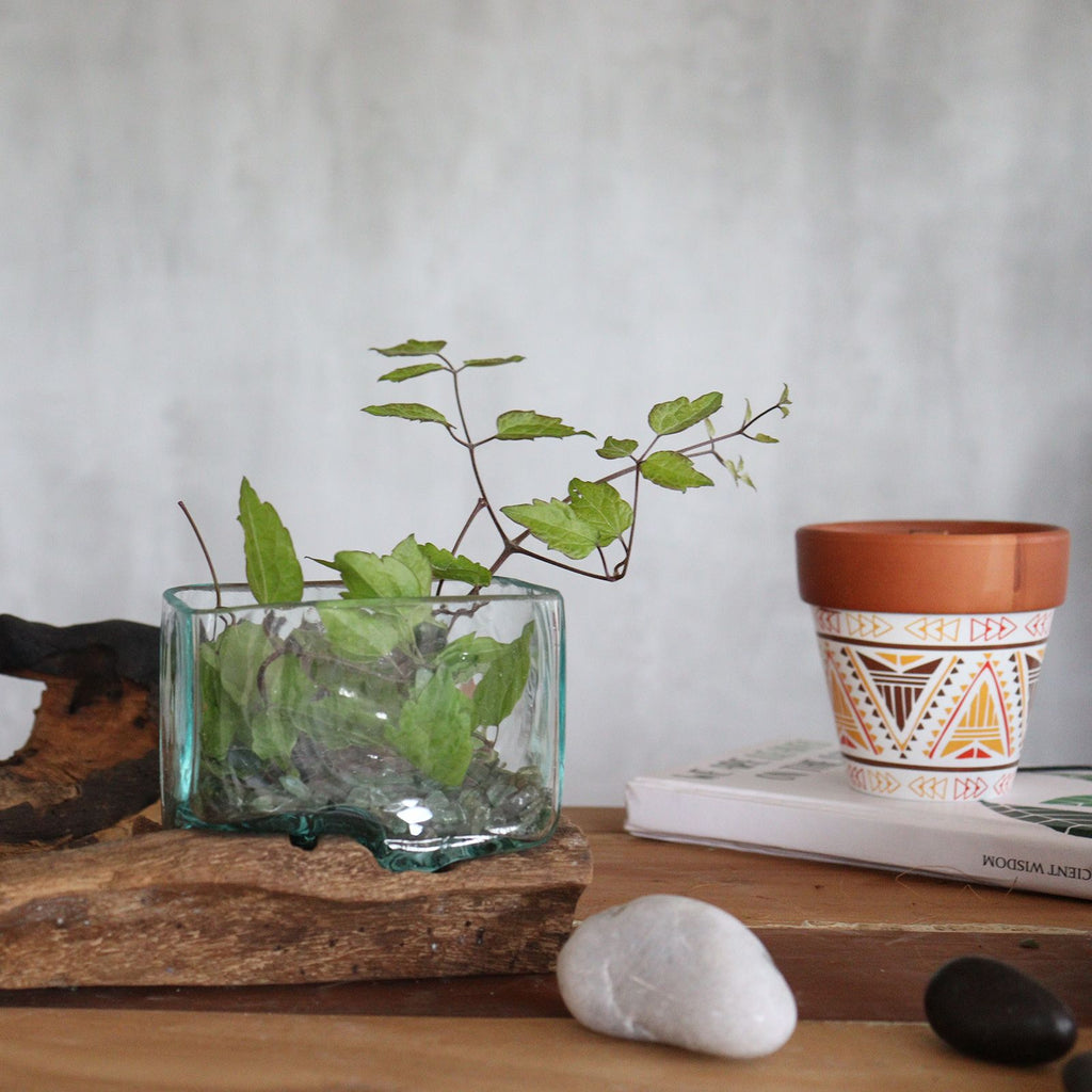 Molten Glass Tank on Wood with Stand Small Bowl for Display