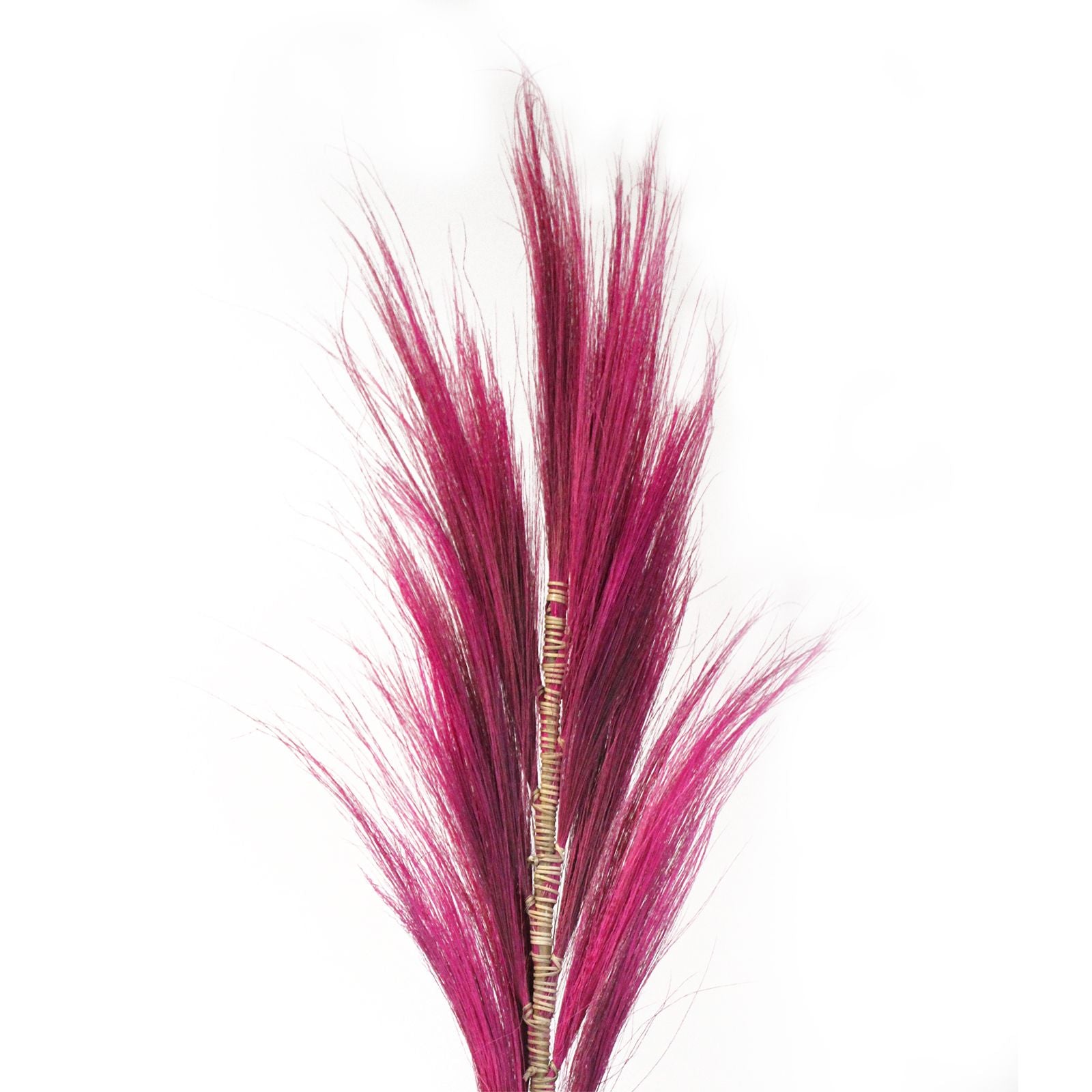 Stunning 1.6m Rayung Grass Pink Display for Tropical Decor