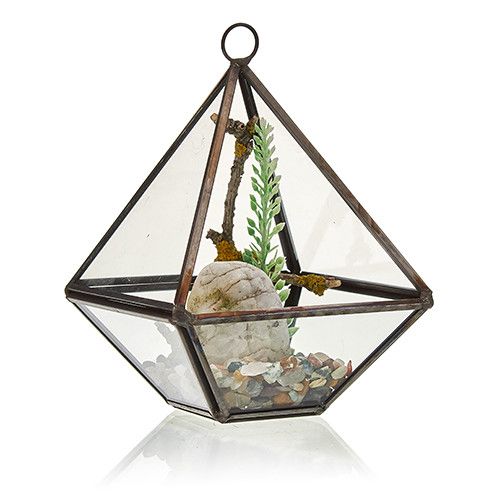 Small Diamond Glass Terrarium for Succulents and Air Plants